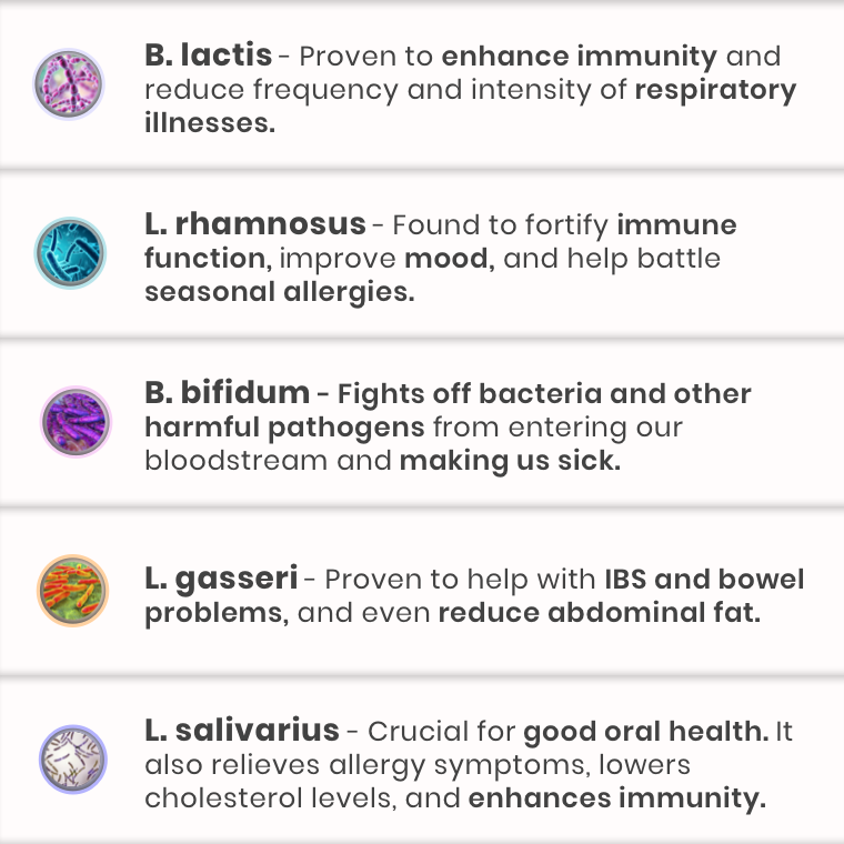 2021 Top 5 Probiotics Revealed Which Brand Ranks 1?